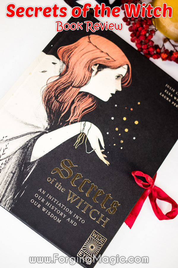 Secrets of the Witch Book Review