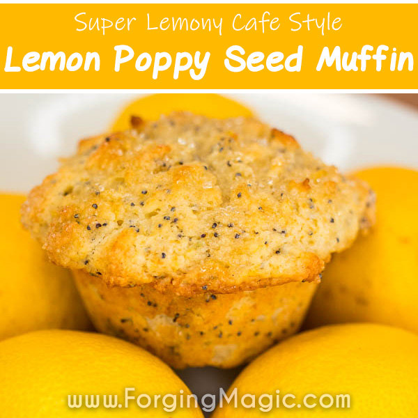 Delicious, lemony, lemon poppy seed muffin recipe