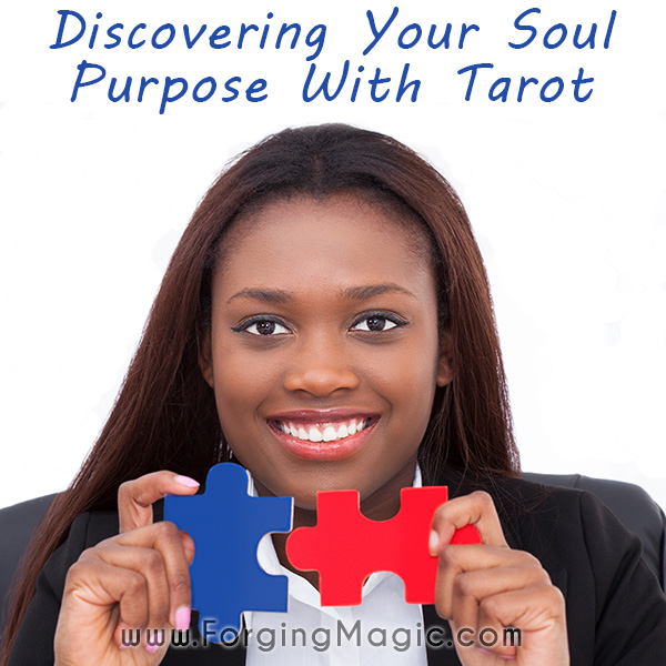 The Puzzle of Soul Purpose