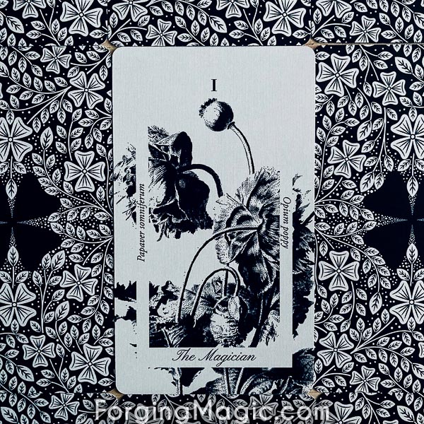 La Flora Tarot The Magician Card