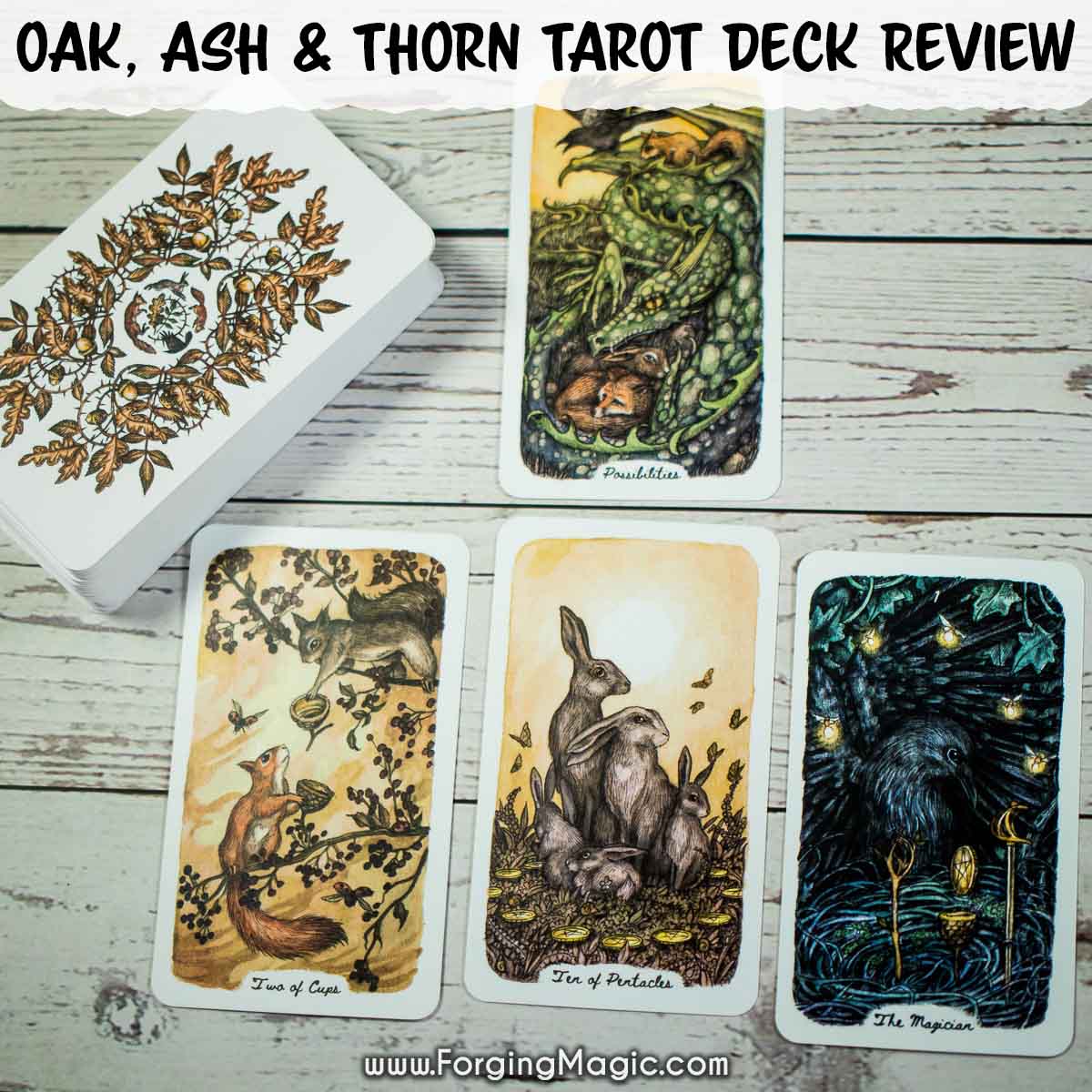 Oak Ash and Thorn Tarot Deck Review featuring back of the cards, Two of Cups card, Ten of Pentacles Card and the Magician Card.